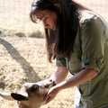 Goat Chores