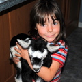Meet our Goats