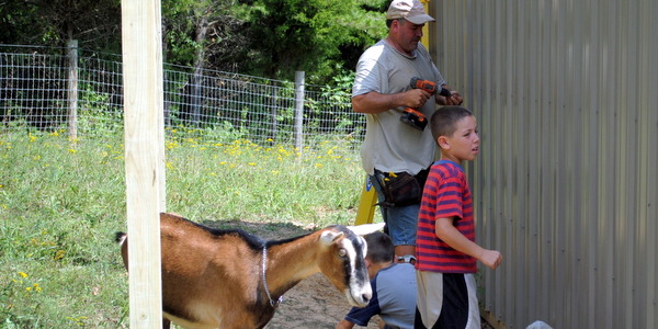 Goat Milk Stuff