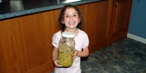 Sauerkraut