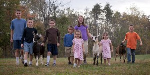 Goat Milk Stuff