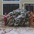 Taking Out The Christmas Tree