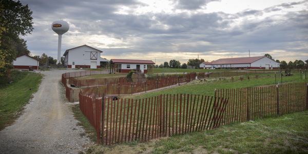 goat milk stuff farm_blog