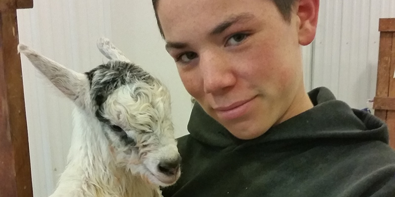 baby goat parcell_blog