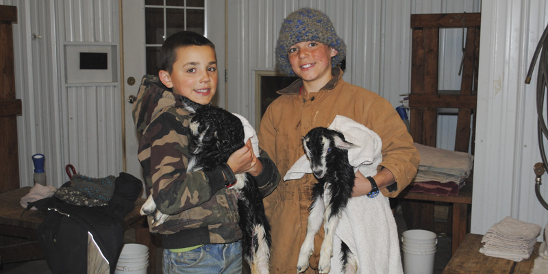 goat birth payton_3