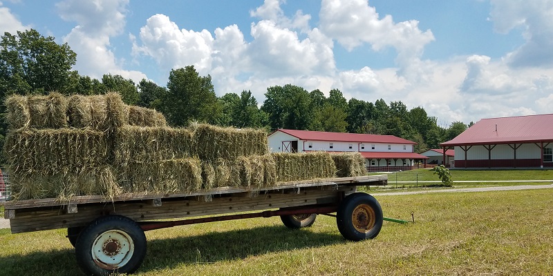 Square Bales on a Hay Wagon