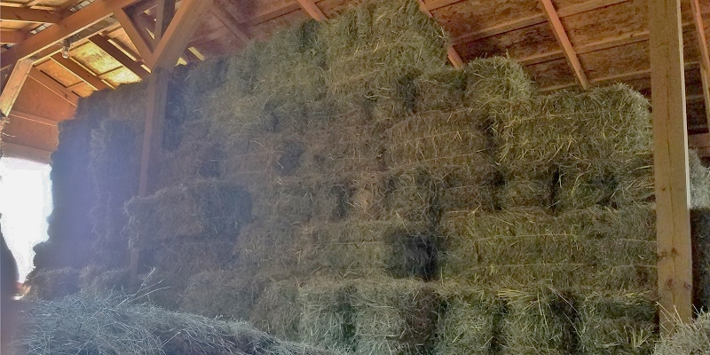 Stacked Hay Bales
