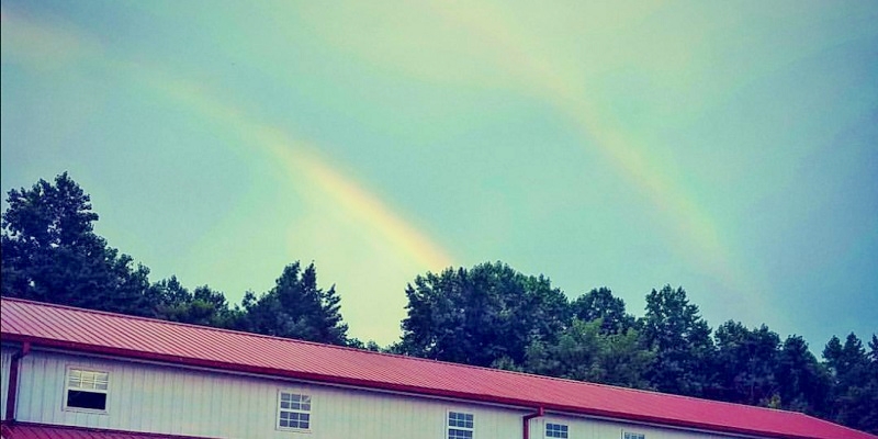 Rainbow after Soaking Hay