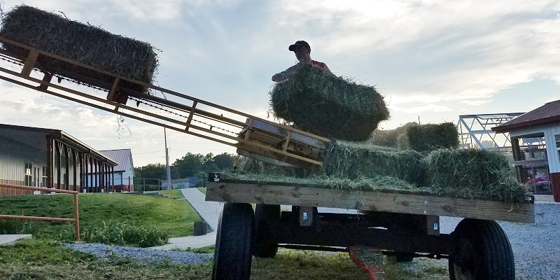 Putting Up Hay