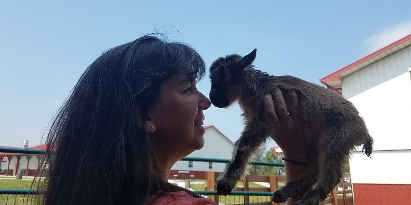 Nigerian Dwarf Buckling, "Treble"