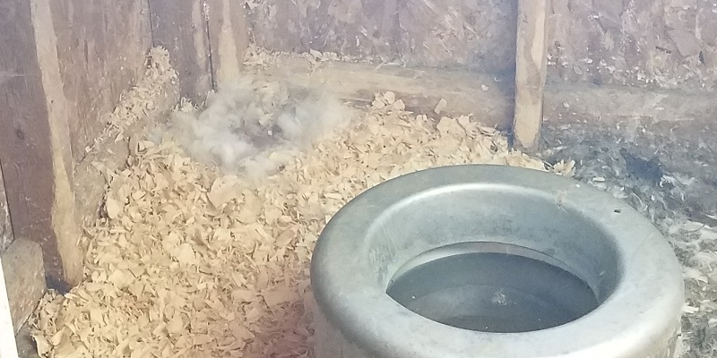 Nest for Baby Bunnies