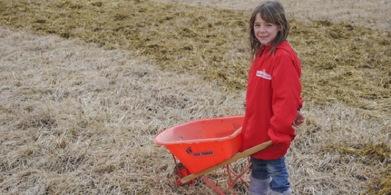 Spread Manure over Hay Fields